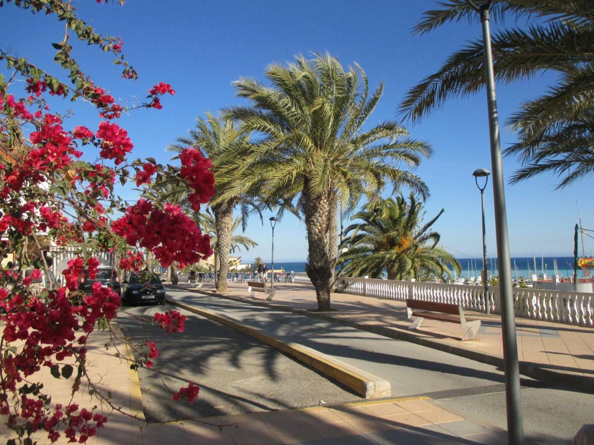 Апартаменты Playa Elisa Bay Пилар де ла Горадада Экстерьер фото
